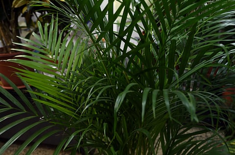 Photo for illustrative purposes only.