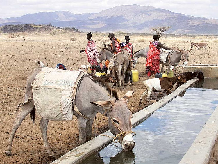 1.1870329-2384843603