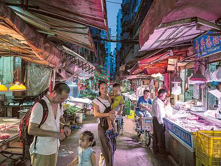 1.1870351-2355179182