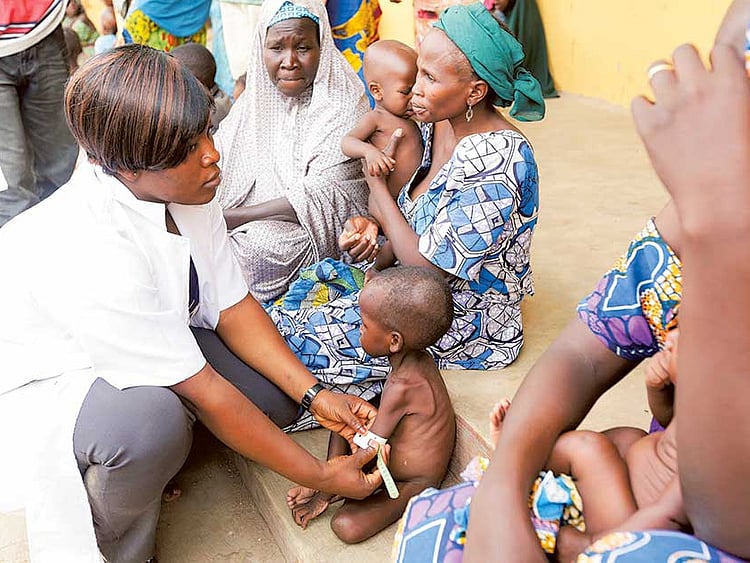 1.1870576-1715725249