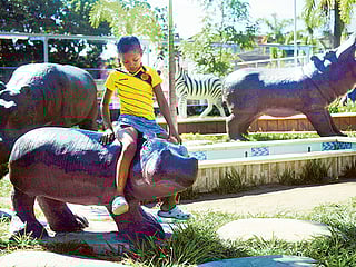 Drug lord’s pet hippos roam Colombian village