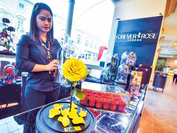 1.1857791-3549030700