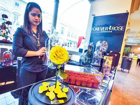 Clint Egbert/Gulf News