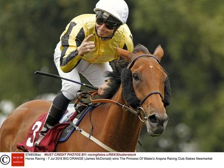 1.1858953-1824922903