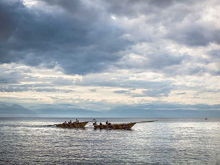 1.1876681-1280291451