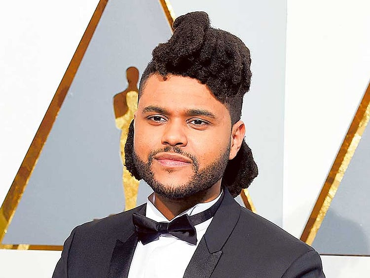 1.1877311-2816438135