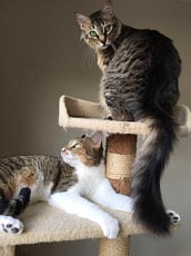 1.1877926-2620048363