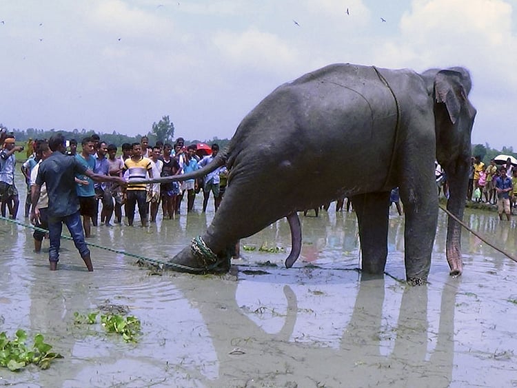 1.1879891-2705620098