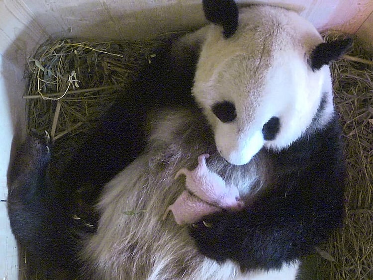 1.1880241-1122956361