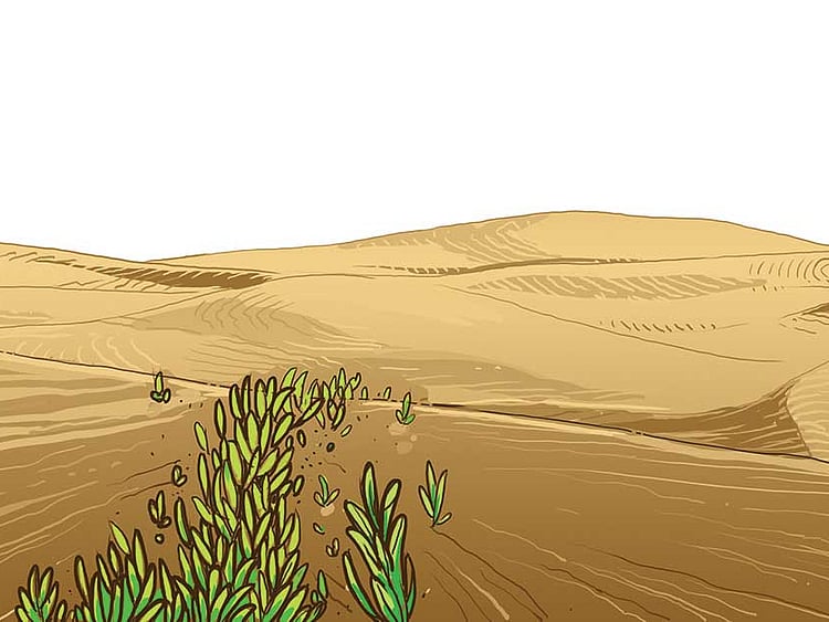 1.1880889-1179134171