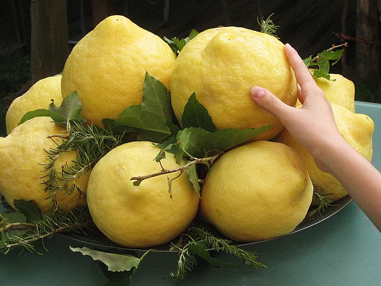 1.1880588-3565107735