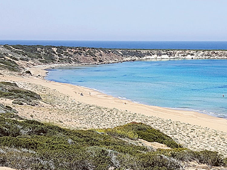 1.1881449-1311043458