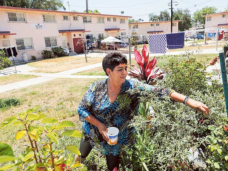 1.1882141-2868818311