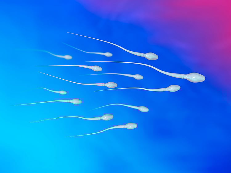 1.1882583-1019505825