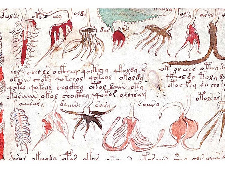 1.1882592-1377390961