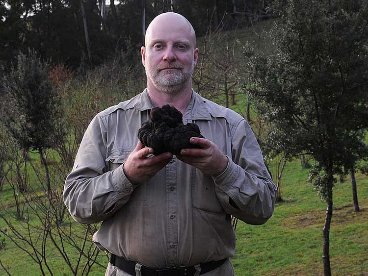 1.1883715-1193720636