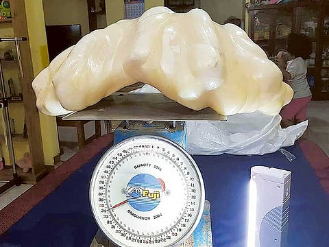 Puerto Princessa Tourism Office