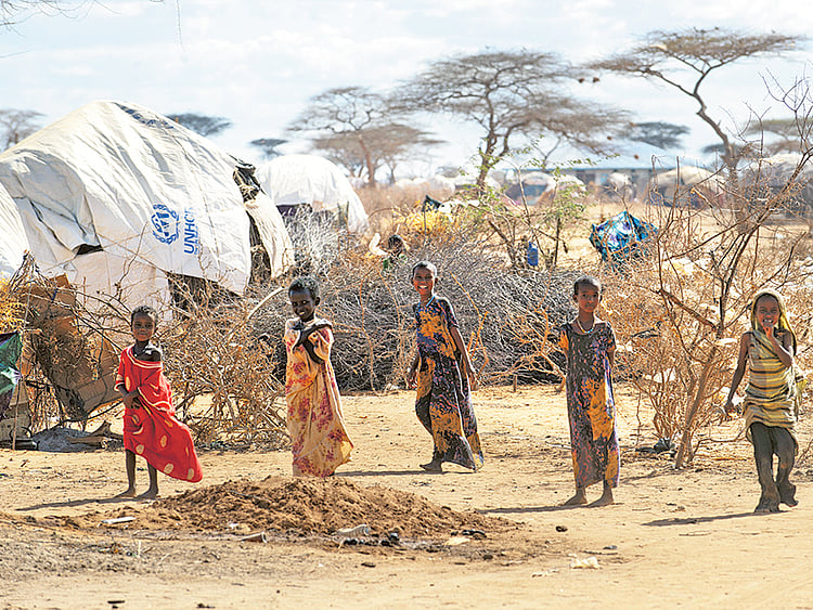 1.1885296-2528586639