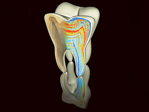 Ian Harrowell, Christine Austin and Manish Arora