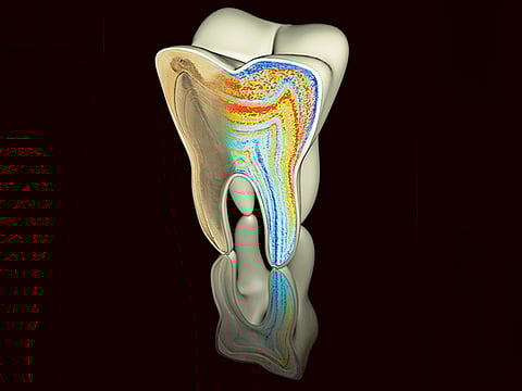 Ian Harrowell, Christine Austin and Manish Arora