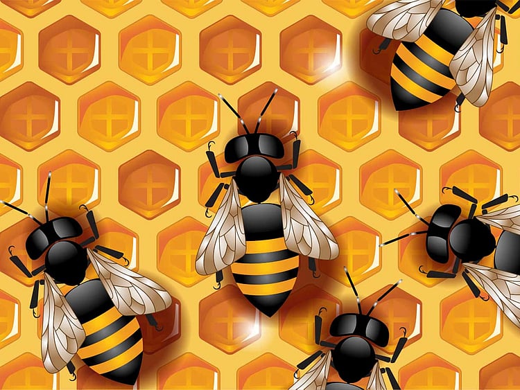 1.1885853-4189823843