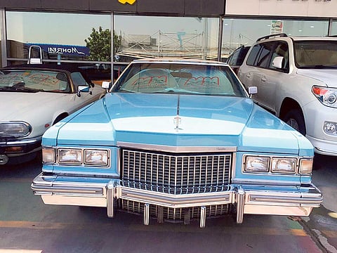 Clint Egbert/Gulf News