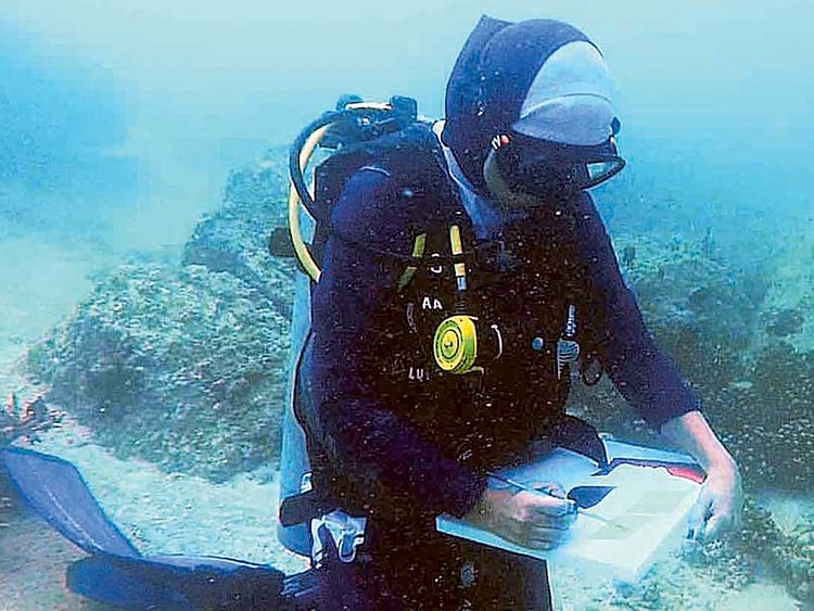 1.1887684-2201938303