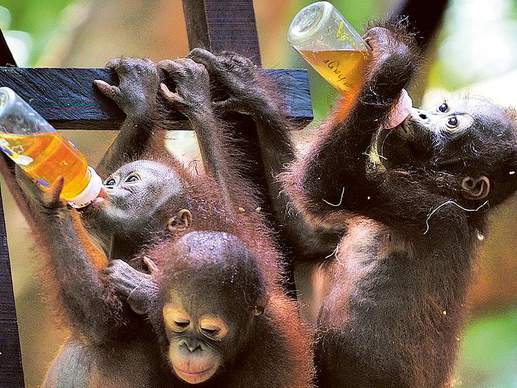 1.1888378-2425995636