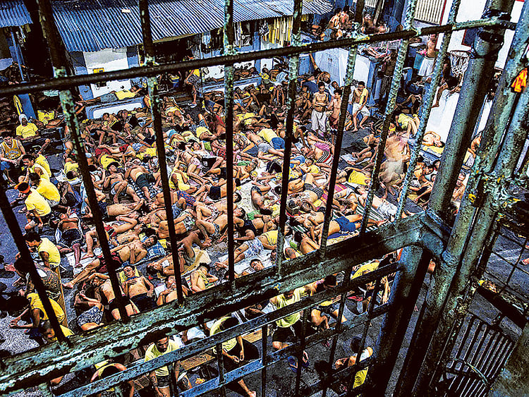 1.1876133-4191431193