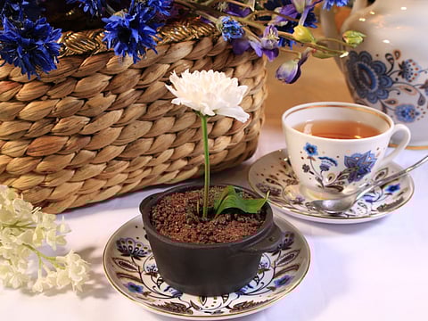 Hungry? Check out this week’s food news