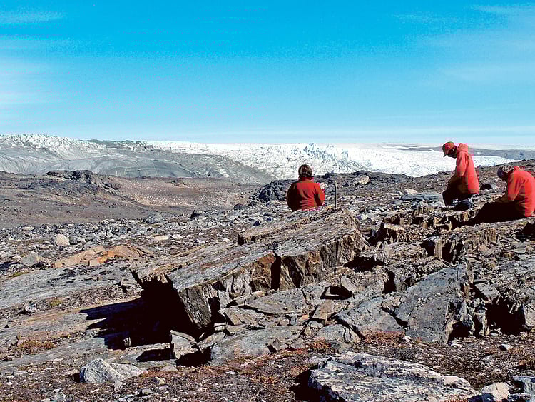 1.1889065-3381383641