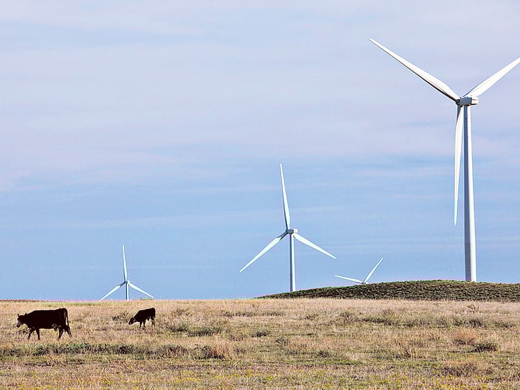 1.1894979-1339496926