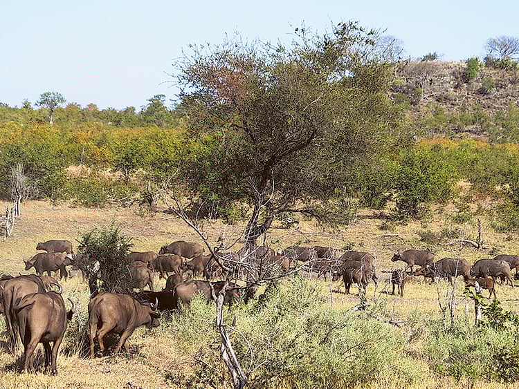 1.1895948-4063313639