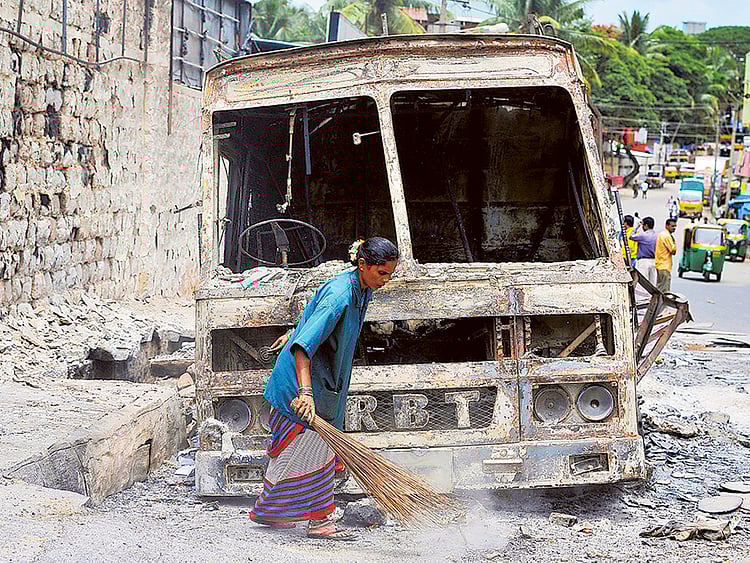 1.1896017-1779558167