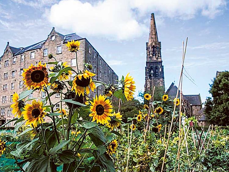 1.1897249-4025836795