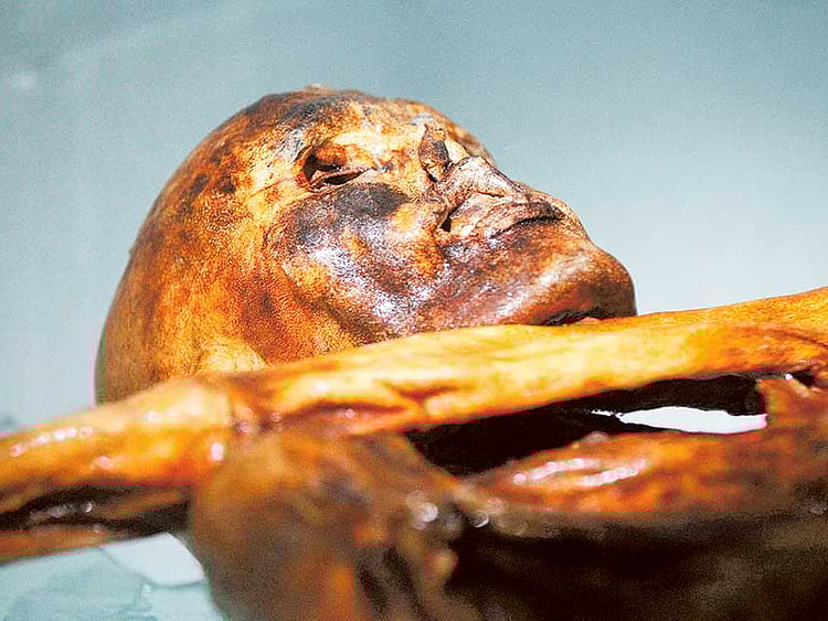 1.1897858-1953335472