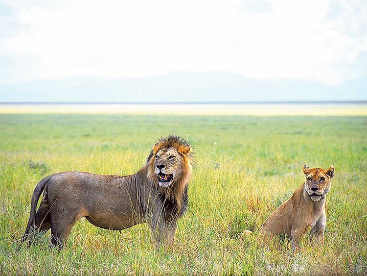 1.1888153-3282802269