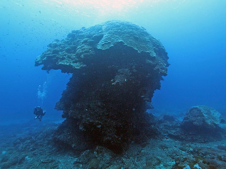 1.1899128-3684638325