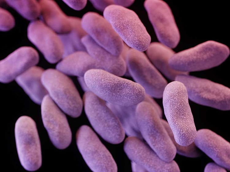 1.1899791-2184363474