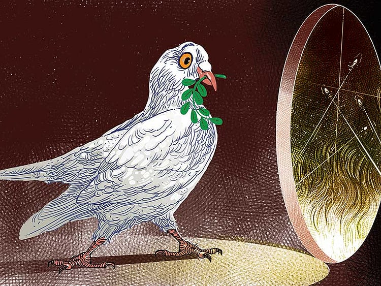 1.1900055-2262229113