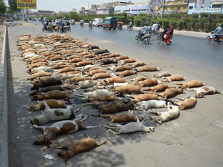 1.1900384-3959296174