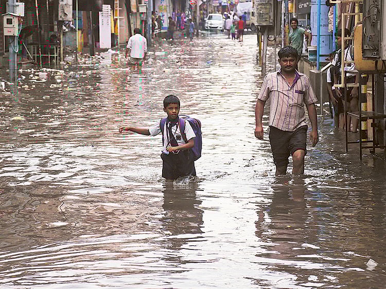 1.1900671-3924187154