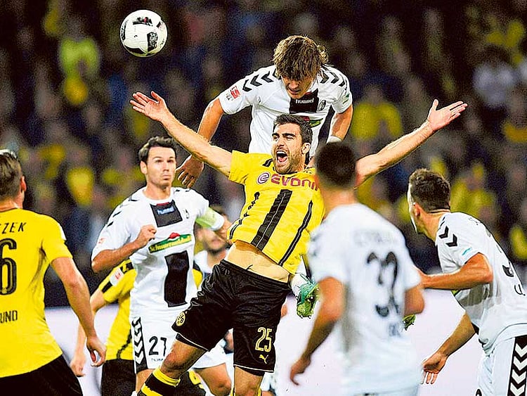 1.1901286-2371057551