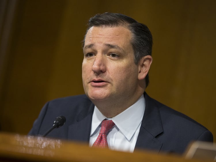 1.1902497-2131420147