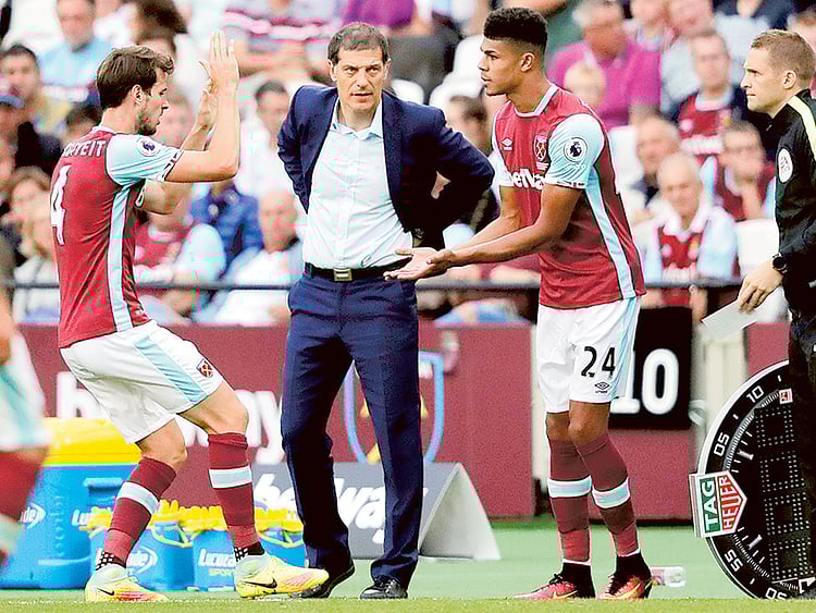 1.1902295-4268221145