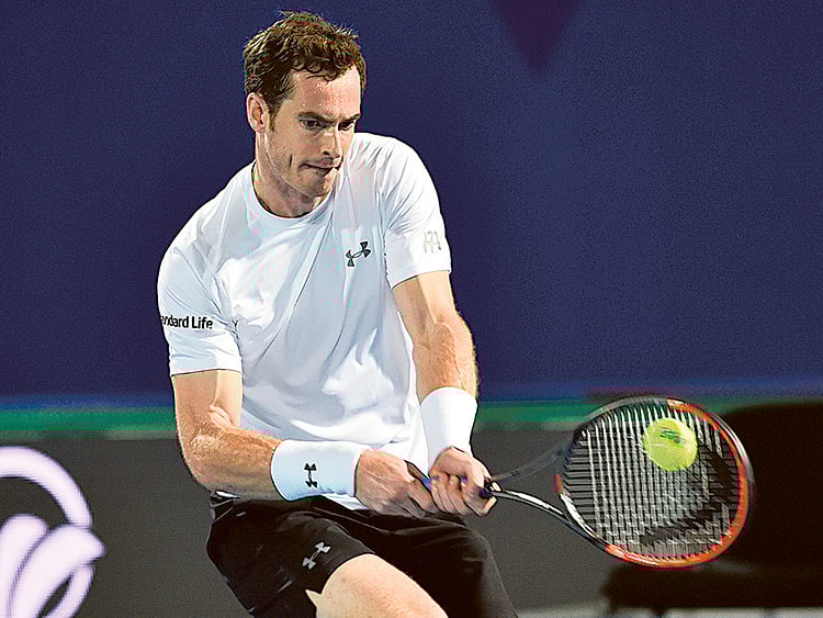 1.1902352-1684223171