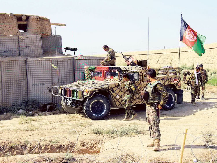 1.1902858-2390515546