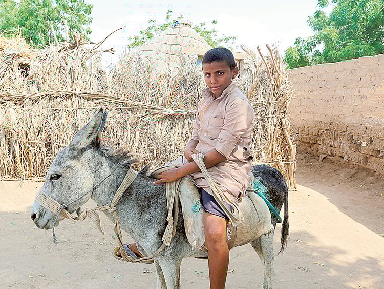 1.1902886-1327279849