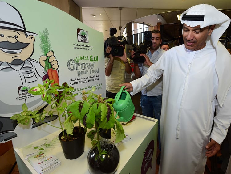 1.1903063-2256587285