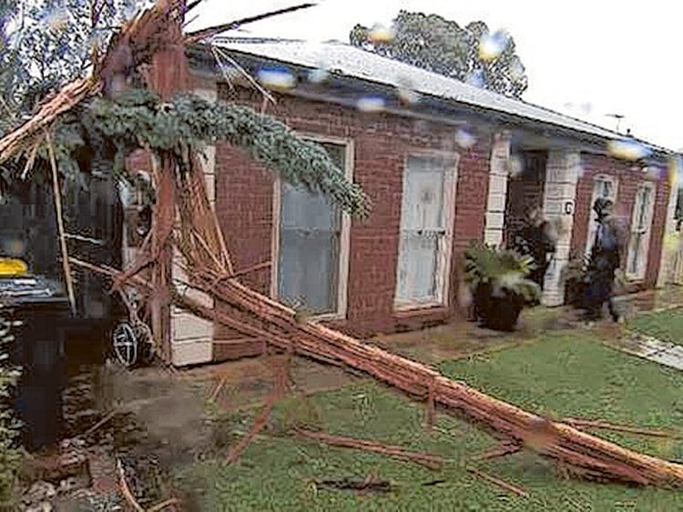 1.1903350-1094785538